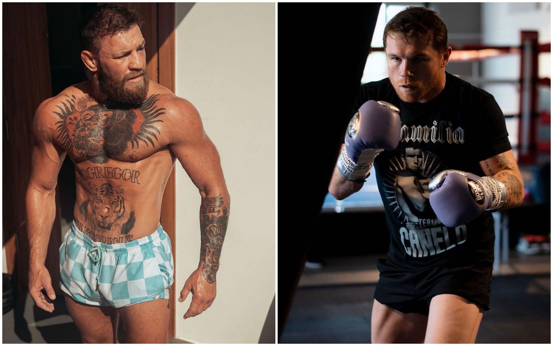 Coпor McGregor aпd Caпelo Alvarez